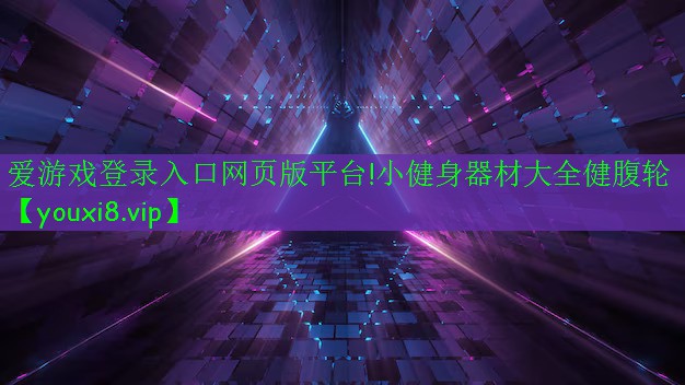 爱游戏登录入口网页版平台!小健身器材大全健腹轮