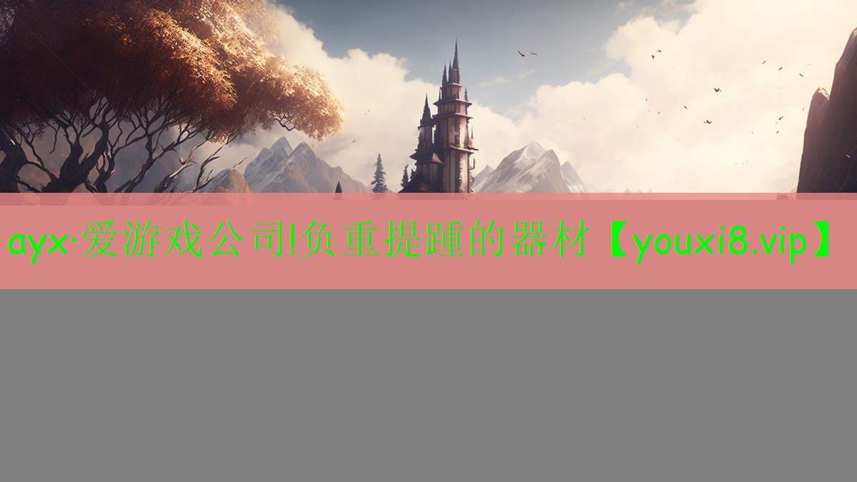 ayx·爱游戏公司!负重提踵的器材