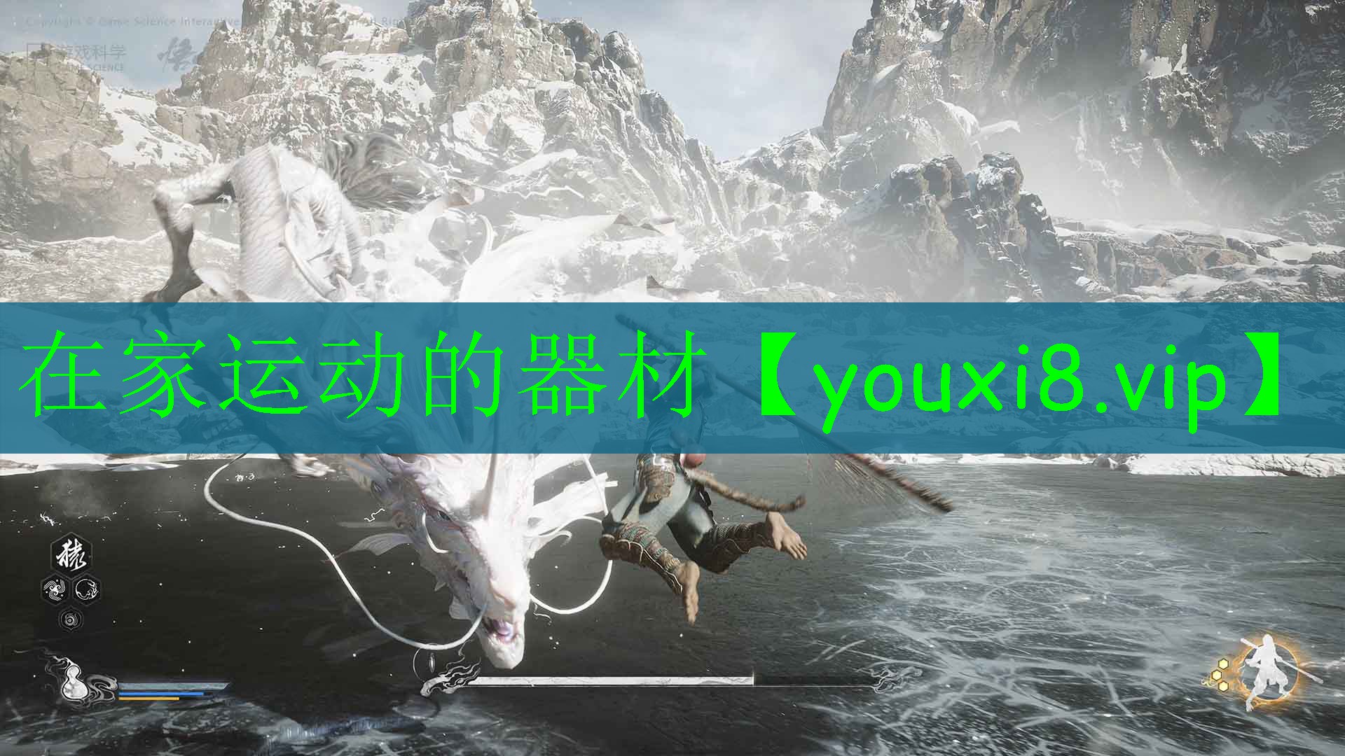 在家运动的器材 在家运动的器材