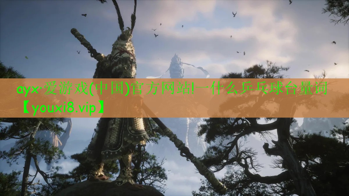 一什么乒乓球台量词 一什么乒乓球台量词