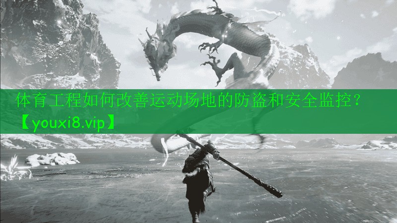 体育工程如何改善运动场地的防盗和安全监控？
